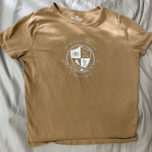 brown hollister crop tee